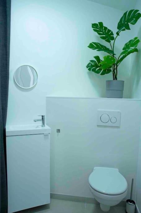 Appartement 5Min Aeroport Cdg Le Mesnil-Amelot Luaran gambar